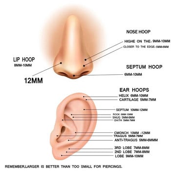 Septum Piercing Lip Clicker Earrings Titanium F136 Cartilage 16g Tragus Daith Helix Αρθρωτό τμήμα Labret Μανσέτες αυτιών Body Jewelry