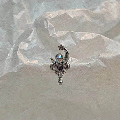 1Pair Catchdream Tragus Stud Auskaru Rotaslietas Helix Pīrsings Skrimšļa Stud Auskari Rook Daith Ausu daivas Kniedes Pīrsings Orelha