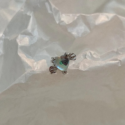 1Pair Catchdream Tragus Stud Auskaru Rotaslietas Helix Pīrsings Skrimšļa Stud Auskari Rook Daith Ausu daivas Kniedes Pīrsings Orelha