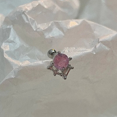 1Pair Catchdream Tragus Stud Auskaru Rotaslietas Helix Pīrsings Skrimšļa Stud Auskari Rook Daith Ausu daivas Kniedes Pīrsings Orelha