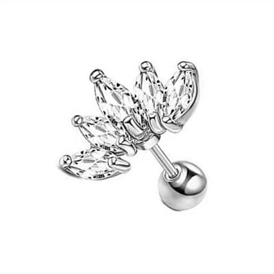 1Pair Catchdream Tragus Stud Auskaru Rotaslietas Helix Pīrsings Skrimšļa Stud Auskari Rook Daith Ausu daivas Kniedes Pīrsings Orelha