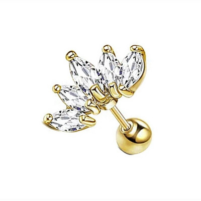 1Pair Catchdream Tragus Stud Auskaru Rotaslietas Helix Pīrsings Skrimšļa Stud Auskari Rook Daith Ausu daivas Kniedes Pīrsings Orelha