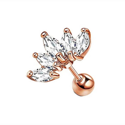 1Pair Catchdream Tragus Stud Auskaru Rotaslietas Helix Pīrsings Skrimšļa Stud Auskari Rook Daith Ausu daivas Kniedes Pīrsings Orelha