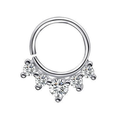 Daith naušnice Nakit Prsteni za nos 16G Piercing za nos Hrskavica Tragus Hoop Helix