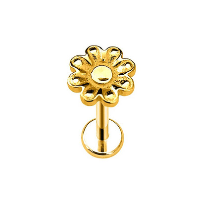 Ziedu Lapu Čūskas Apvalks Labret Stud Butterfly Branch Ziedlapiņas Lūpu Iekšējais pavediens Pīrsings Cross Heart CZ Daith Conch Auskars 16G