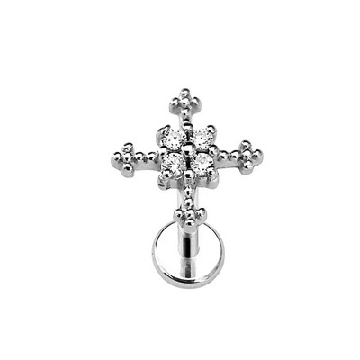 Ziedu Lapu Čūskas Apvalks Labret Stud Butterfly Branch Ziedlapiņas Lūpu Iekšējais pavediens Pīrsings Cross Heart CZ Daith Conch Auskars 16G