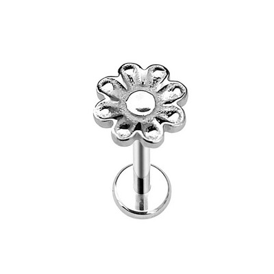 Ziedu Lapu Čūskas Apvalks Labret Stud Butterfly Branch Ziedlapiņas Lūpu Iekšējais pavediens Pīrsings Cross Heart CZ Daith Conch Auskars 16G