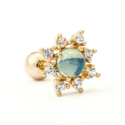 1gb Sirds Lācis Konfektes Augļi Skrūve Bumba Auss Kauls Stud 20G Nerūsējošā tērauda skrimšļa pīrsings Helix Conch Rook Lobe Labret rotaslietas