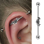 Gothic Bat Industrial Pīrsings Auskars Nerūsējošā tērauda Rūpnieciskā stienis Skrimšļa Pīrsings Helovīna ballīte Ķermeņa rotaslietas