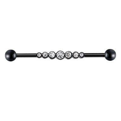 1 gab. Nerūsējošā tērauda vīrieša ķēde, rūpnieciskā stienis, bulta, konuss, pūķis, garais tilts, auskars šķērsvirziena pīrsings unisex rotaslietas