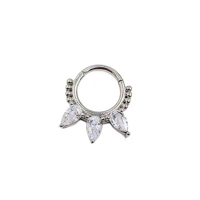 100% tērauda eņģes segmenta stīpa CZ akmens deguna gredzens nipelis klikšķinātājs auss skrimslis Tragus Helix lūpu auskari pīrsings ķermeņa rotaslietas