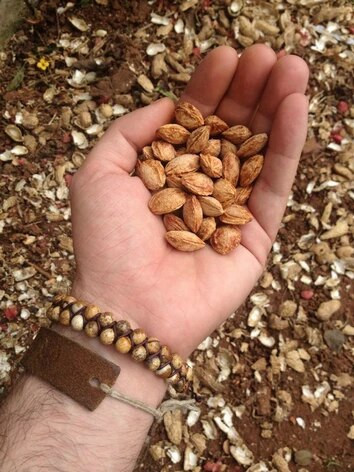Vīriešu rokassprādze Dabīgais akmens Pērlītes Pītas aproču rokassprādzes Roku darbs Draudzība Vīriešu Sieviešu Pāri Rokassprādzes Panka Rotaslietas Dropship