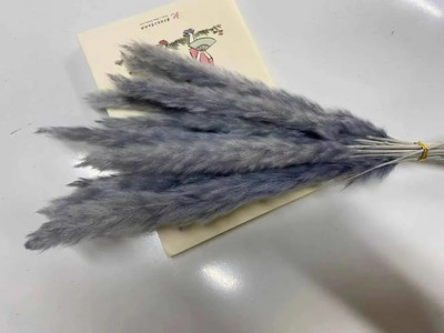 15 бр. Пухкави пампаси Букет от сушени цветя Сватбен коледен декор Естествени фрагмити Бяла тръстика Пампа Бохо скандинавска декорация за дома