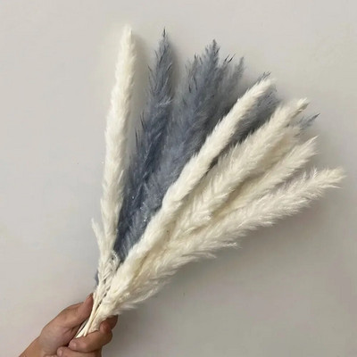 15 бр. Пухкави пампаси Букет от сушени цветя Сватбен коледен декор Естествени фрагмити Бяла тръстика Пампа Бохо скандинавска декорация за дома