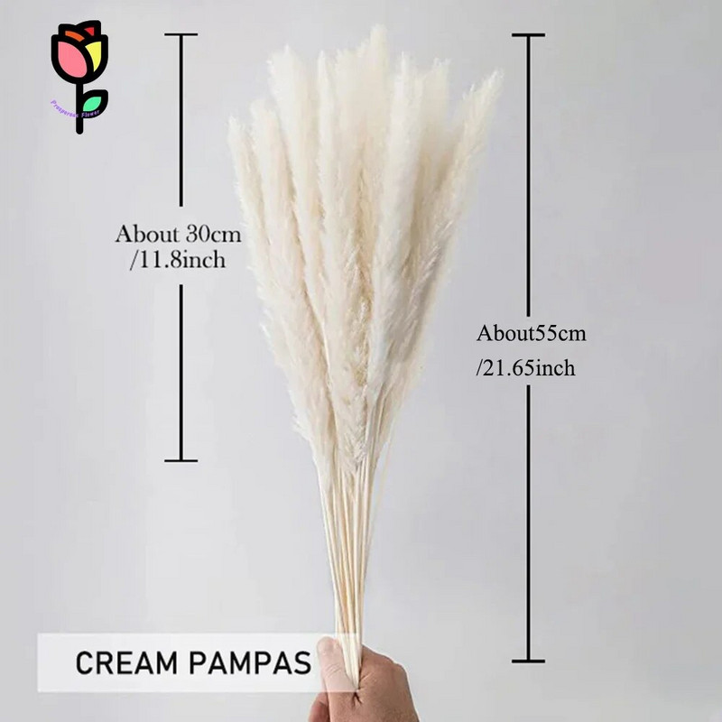 15 бр. Пухкави пампаси Букет от сушени цветя Сватбен коледен декор Естествени фрагмити Бяла тръстика Пампа Бохо скандинавска декорация за дома