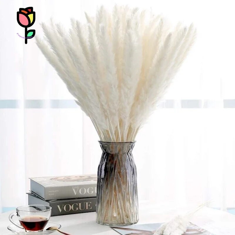 15 бр. Пухкави пампаси Букет от сушени цветя Сватбен коледен декор Естествени фрагмити Бяла тръстика Пампа Бохо скандинавска декорация за дома