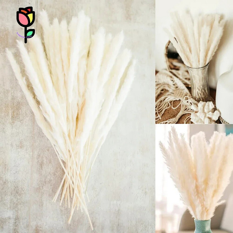 15 бр. Пухкави пампаси Букет от сушени цветя Сватбен коледен декор Естествени фрагмити Бяла тръстика Пампа Бохо скандинавска декорация за дома