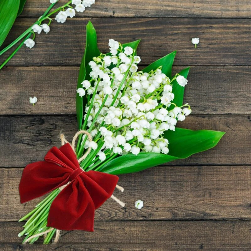 8 Κόκκινα δαχτυλίδια για χαρτοπετσέτα με φιόγκο, βελούδινο φιόγκο Χριστουγεννιάτικη θήκη για χαρτοπετσέτα με πόρπη διακόσμηση για το Χριστουγεννιάτικο γιορτινό δείπνο ανθεκτικό