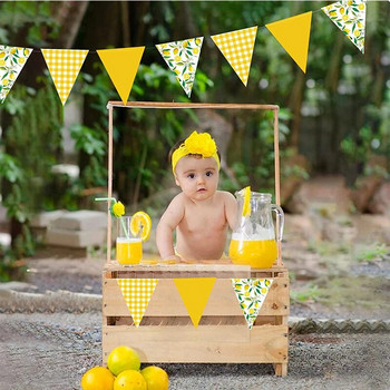 Κίτρινο καρό φλοράλ λεμόνι Πανό Κρεμαστό χαρτί Τρίγωνο Γιρλάντες Streamers Νυφικό Baby Shower Lemon Διακόσμηση πάρτι γενεθλίων