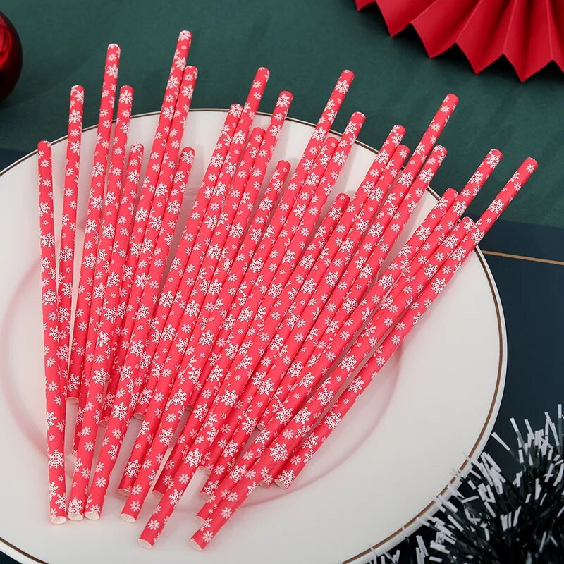 Χριστουγεννιάτικο ψάθινο πάρτι μιας χρήσης 25 ΤΕΜ