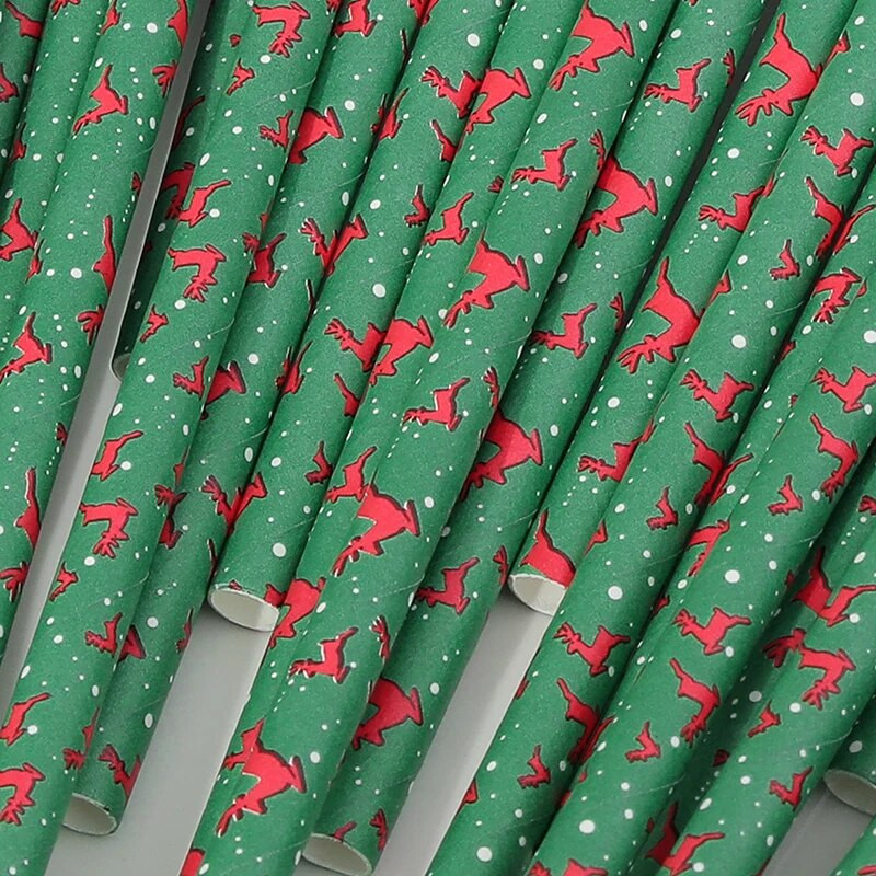 Χριστουγεννιάτικο ψάθινο πάρτι μιας χρήσης 25 ΤΕΜ