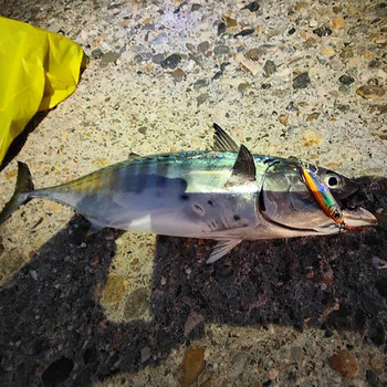 Feather Fishing Цветна въглеродна метална джигова примамка Въртяща се лъжица Изкуствена стръв Бас Кука от Minnow Потъваща кастинг Pesca Tackle