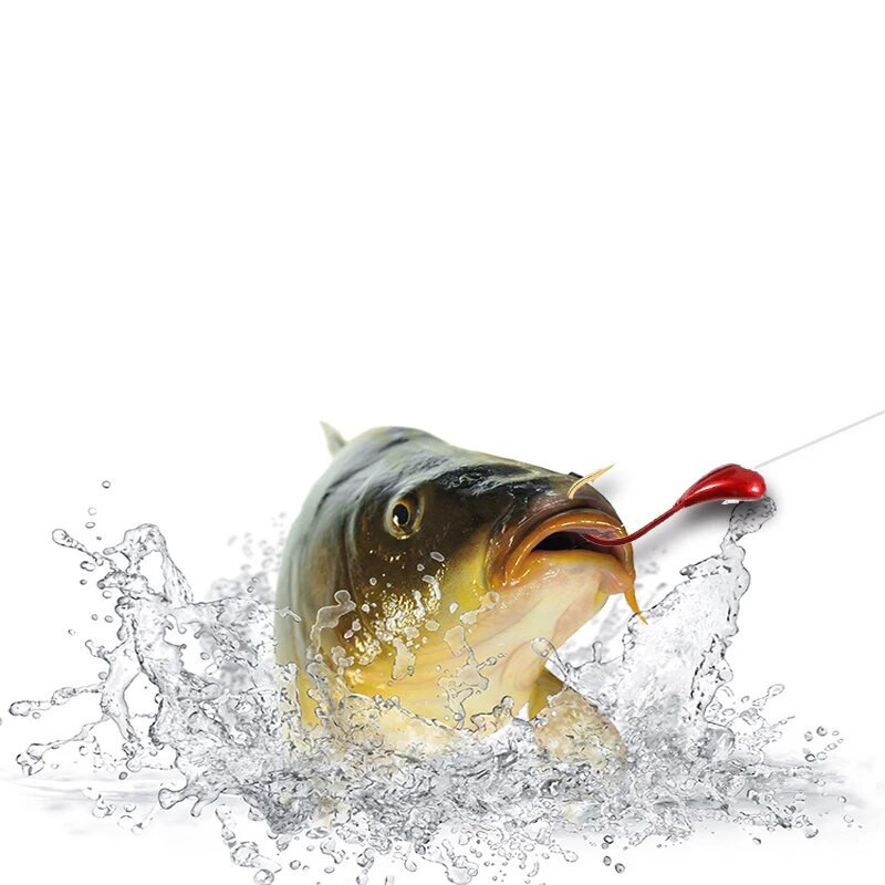 10 tk Ümberkukkunud jigipea pliikonks talvine jääjärvepüügi sööt Konksud punane ussipuu õngekonks karpkala sööt kalastustarbed