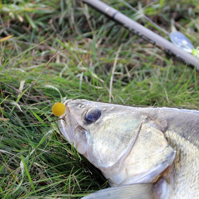 JIGEECARP 5 komada pribora za ribolov šarana Gotovi vezani pribor za šarana s boilie Pop Up Hooklink Hair pribor s uzicom za bodljikavu udicu