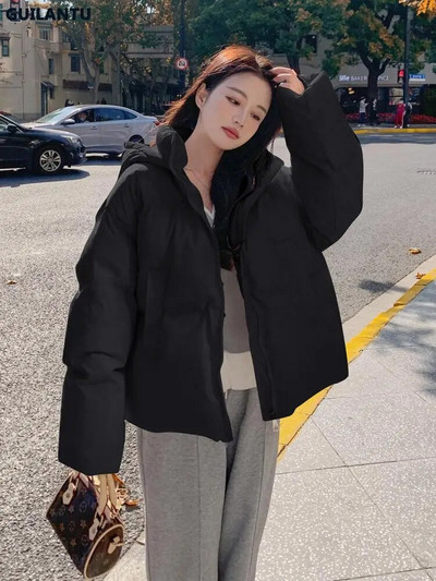 2023. aasta sügistalvine puhvis mantel naiste paksust puuvillast polsterdatud jope Naiste moodne kapuutsiga vabaaja vaba parkidega naine