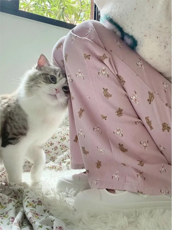 Naistele armsad roosa karuprinteriga sirged teksad Naiste suvised kõrge vöökohaga kottis täispikad teksad Laia säärega Micro Bell-põhjaga püksid