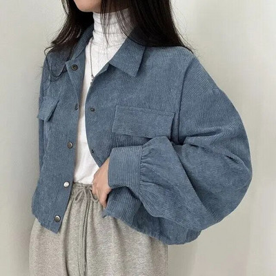 Crop Jakas Sieviešu Velvets Pure Simply Vintage Korejiešu Modes Apģērbs Baggy Temper Куртка Женская Teens Streetwear