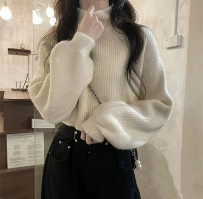 HELIAR Turtleneck Pehme soe kampsun Solid Lantern Sleeve Basic kampsun Pullover vabaaja kampsun naistele 2023 sügistalv