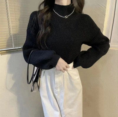 HELIAR Turtleneck Pehme soe kampsun Solid Lantern Sleeve Basic kampsun Pullover vabaaja kampsun naistele 2023 sügistalv