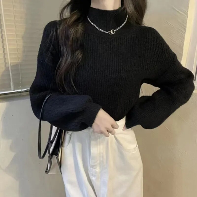 HELIAR Turtleneck Pehme soe kampsun Solid Lantern Sleeve Basic kampsun Pullover vabaaja kampsun naistele 2023 sügistalv