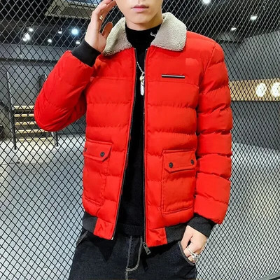 Polsterdus õues Meeste sulejope Meeste polsterdatud mantlid Lühikesed pargid Uudsed Korea populaarsed riided Soe Kerge Kuum