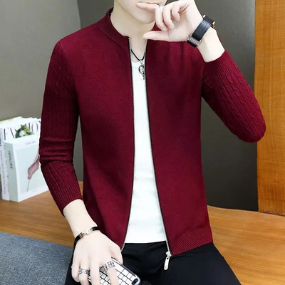 Modes brīvi trikotāžas rāvējslēdzējs vienkrāsains jakas džemperi vīriešu apģērbs 2023. gada rudens jauni ikdienas topi, viss atbilstošs mētelis