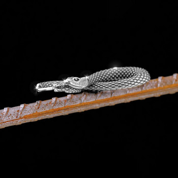 Класическа животинска улична опашка Змия Викинг Обеци Скандинавски мъжки амулети Бижута Обеци Пънк парти Посветени висококачествени подаръци