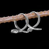 Vintage Street Snake Viking Animal Kõrvarõngad Põhjala Mehed Roostevabast Terasest Amulett Kõrvarõngad Teismeliste Mood Ehted Tasuta kohaletoimetamine