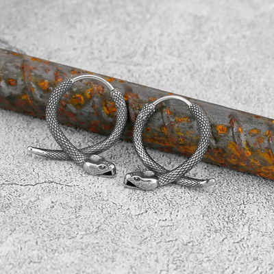 Vintage Street Snake Viking Animal Kõrvarõngad Põhjala Mehed Roostevabast Terasest Amulett Kõrvarõngad Teismeliste Mood Ehted Tasuta kohaletoimetamine