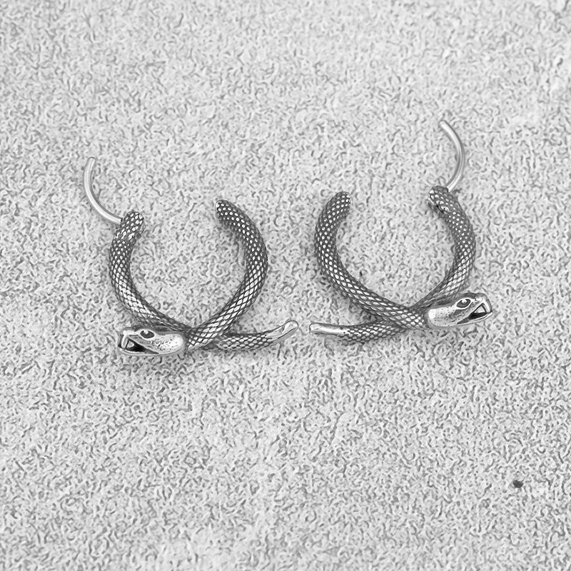 Vintage Street Snake Viking Animal Kõrvarõngad Põhjala Mehed Roostevabast Terasest Amulett Kõrvarõngad Teismeliste Mood Ehted Tasuta kohaletoimetamine