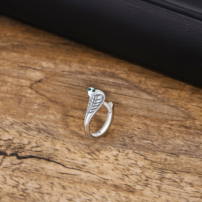 Vnox Cool Snake Hoop kõrvarõngad meestele, hüpoallergeenne roostevabast terasest Huggie kõrvarõngad sünnipäevakingitused talle ehted