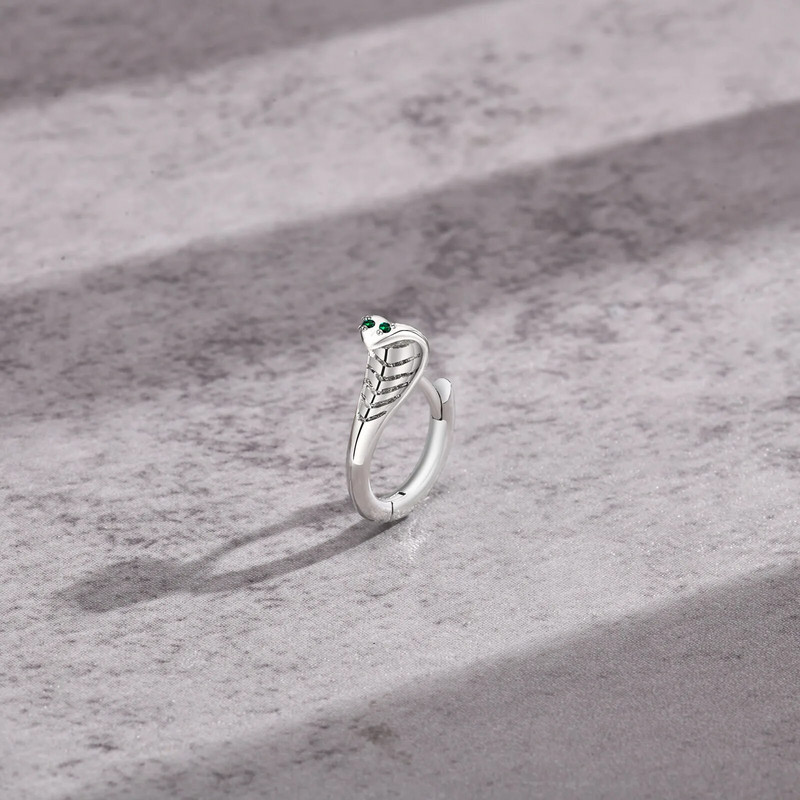 Vnox Cool Snake Hoop kõrvarõngad meestele, hüpoallergeenne roostevabast terasest Huggie kõrvarõngad sünnipäevakingitused talle ehted