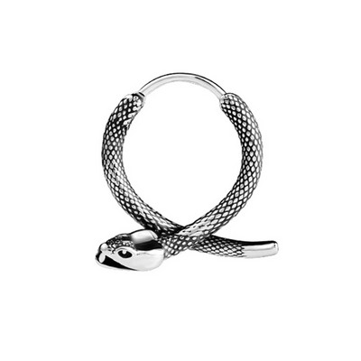 Vnox Gothic Snake Hoop auskarai vyrams berniukams BFF, antialerginiai nerūdijančio plieno punk gyvūnų ausų papuošalai, brincos masculinos
