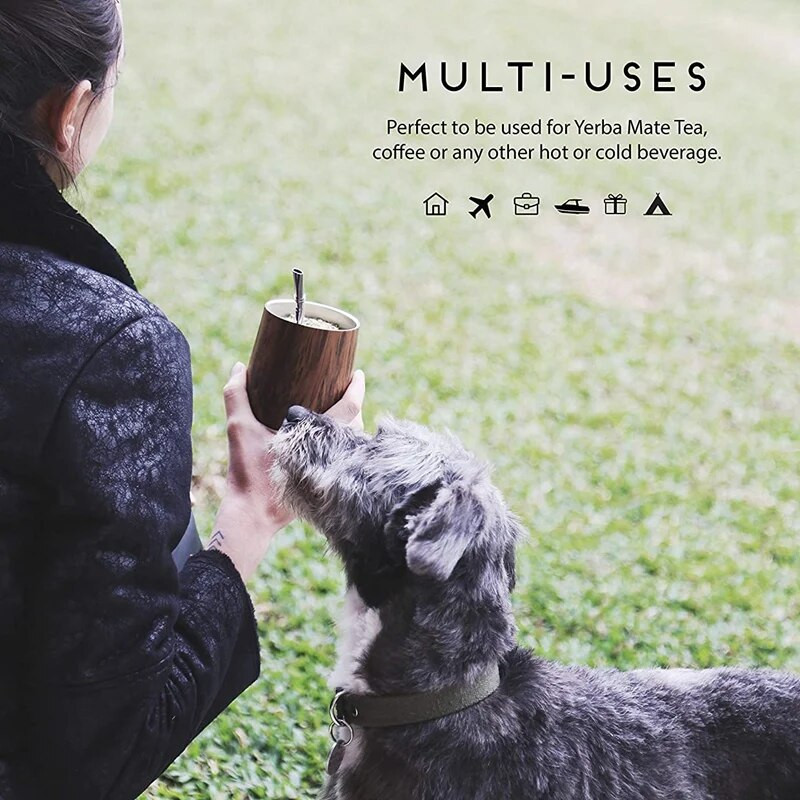 Yerba Mate kõrvitsa teetassi komplekt 12 oz, kahe seinaga roostevaba kohvitass kaanega 1 Bombillase kõrrega filtrilusikas ja pintsel