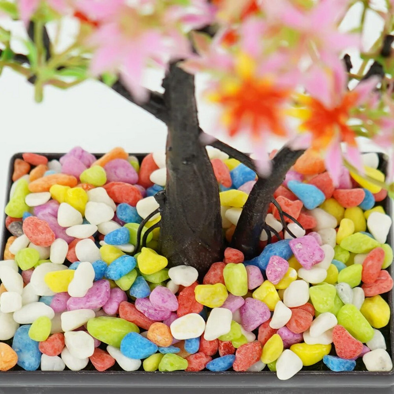 Φυσικό βότσαλο κήπου Flower Bonsai Stone Μικρή γλάστρα παχύφυτο Fish Tank Stones Εξωτερικό Χαλίκι Χυμώδες Βάζο Διακοσμητικό