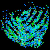 1000 vnt. 3-5 mm sodo akmenukai žėrintys akmenys uolos takas sodo takas terasa veja rezervuaras akvariumo apdaila švyti tamsoje