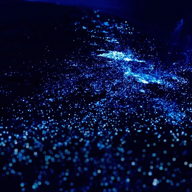 1000 vnt. 3-5 mm sodo akmenukai žėrintys akmenys uolos takas sodo takas terasa veja rezervuaras akvariumo apdaila švyti tamsoje