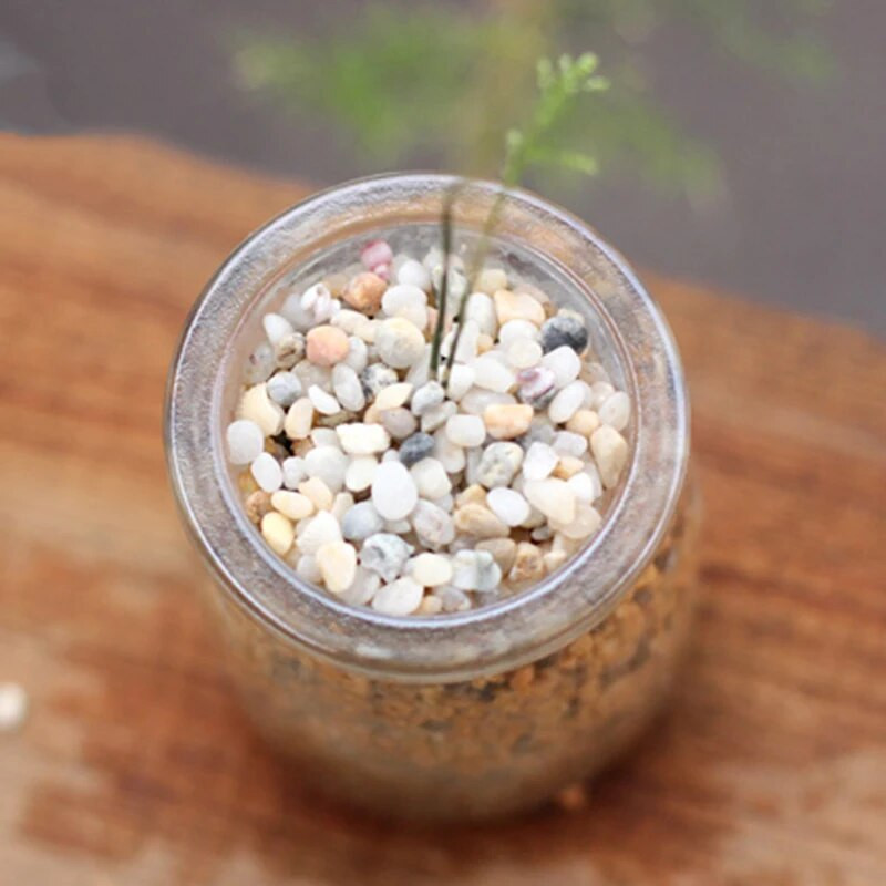 1 maišelis Miniatiūriniai smėlio akmenų papuošalai Namų sodo amatai Papuošimas Žvejybos rezervuarų kiemo ir sodo dekoras LBShipping