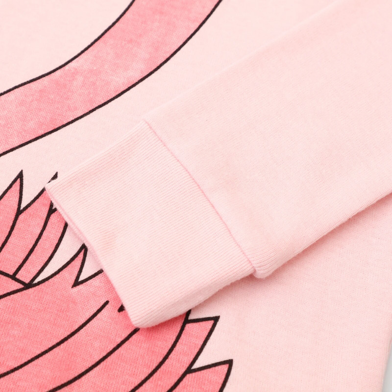 Väikelaste tüdrukute pikkade varrukatega flamingo multifilmiga pidžaamakomplekt, 2-osaline