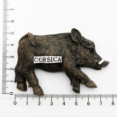 Prancūzijos Paryžiaus šaldytuvo magnetai Martinika Provansas Korsika Mentonas Bordo Alpės Bretanės turizmo suvenyrai šaldytuvo lipdukai